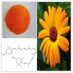 Calendula Extract Calendula Extract