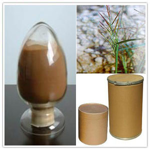 Caper Euphorbia Seed Extract Caper Euphorbia Seed Extract
