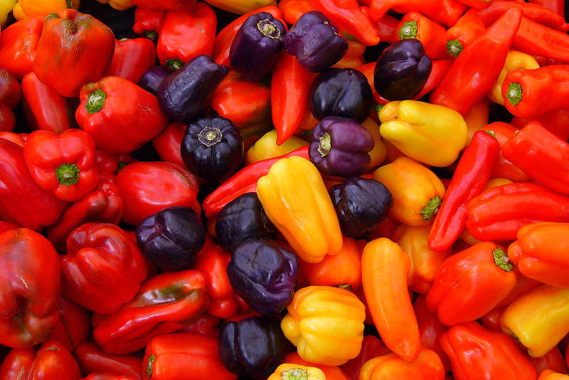Capsicum Capsicum