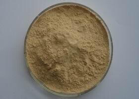 Caralluma Fimbriata Extract Caralluma Fimbriata Extract