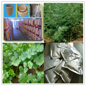 Caraway Extract Caraway Extract
