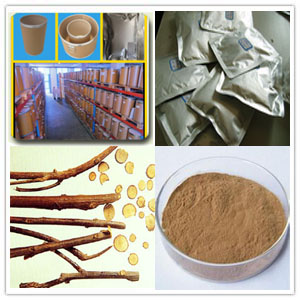 Cassia Twig Extract (Ramulus Cinnamoni Extract)