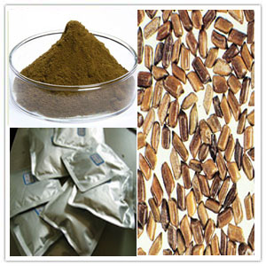 Cassia tora extract Cassia tora extract