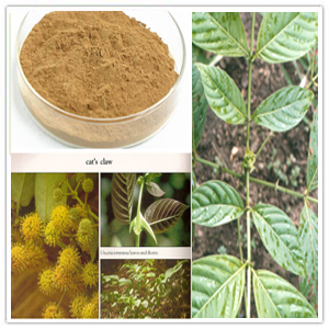 Cat´s claw extract Cat´s claw extract
