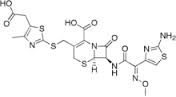 Cefodizime acid Cefodizime acid