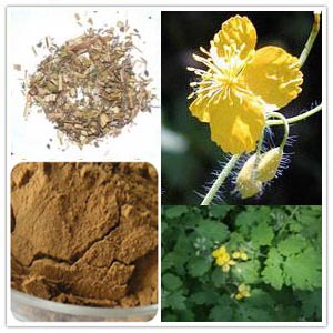 Celandine Extract
