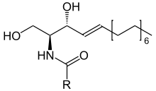 Ceramide