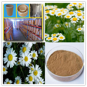Chamomile Extract Chamomile Extract