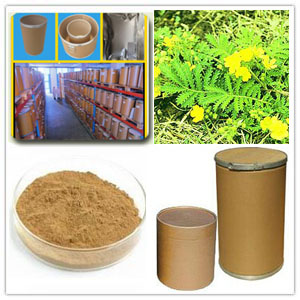 Chinese Cinquefoil Extract