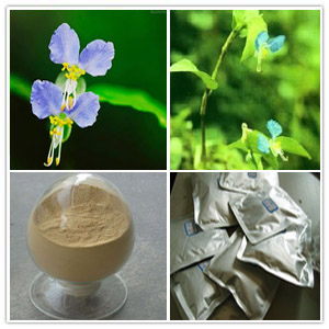 Common Dayflower Herb Extract Common Dayflower Herb Extract