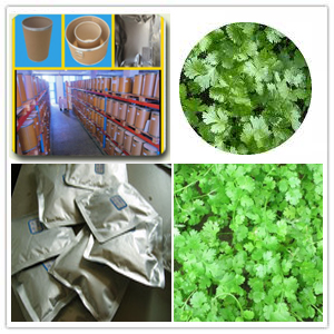Coriander Extract Coriander Extract