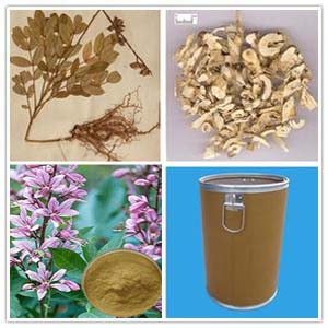 Cortex Dictamni Extract Cortex Dictamni Extract