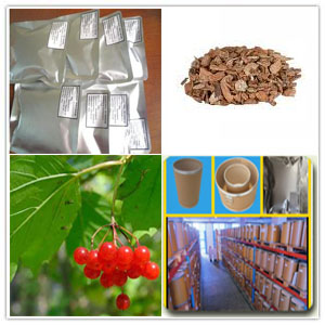 Cramp bark Extract Cramp bark Extract
