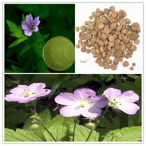 Cranesbill Extract