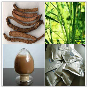 Curculigo orchioides Rhizome Extract Curculigo orchioides Rhizome Extract