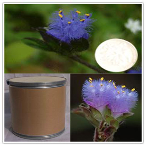 Cyanotis Arachnoisea Extract