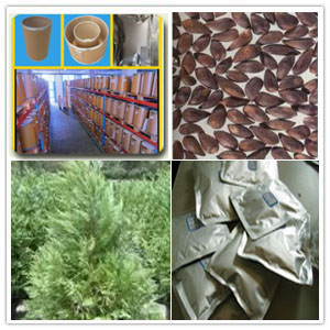Cypress Extract Cypress Extract