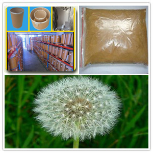 Dandelion extract