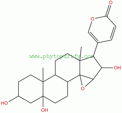 De-O-acetylcinobufotalin