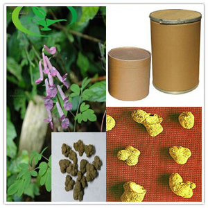 Decumbent Corydalis Rhizome Extract Decumbent Corydalis Rhizome Extract
