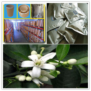 Dry Orange Blossom Extract Dry Orange Blossom Extract