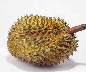 Durian Extract