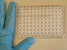 ELISA Kit ELISA Kit