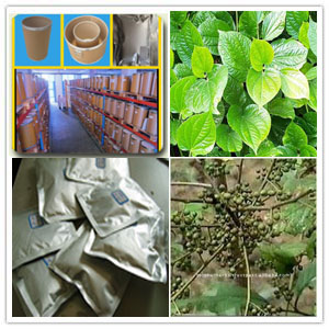 Embelia ribes Extract Embelia ribes Extract