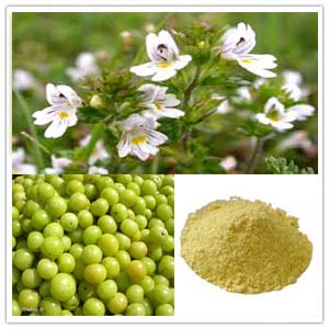 Emblica officinalis Extract Emblica officinalis Extract