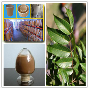 Engelhardia Leaf Extract