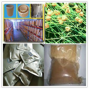 Ephedra extract Ephedra extract