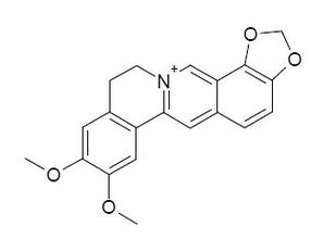 Epiberberine