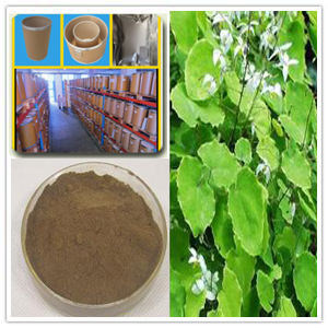 Epimedii Herba Extract Epimedii Herba Extract