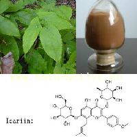 Epimedium Extract Epimedium Extract