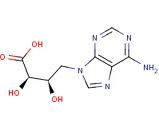 Eritadenine Eritadenine