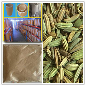 Fennel Extract Fennel Extract