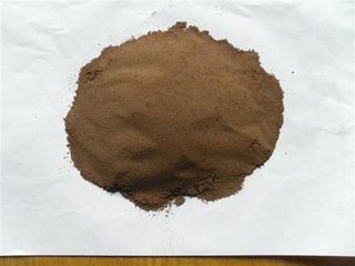 Figwort Herb Powder Figwort Herb Powder
