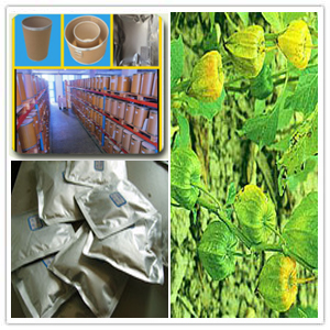 Franchet Groundcherry Fruit Extract Franchet Groundcherry Fruit Extract