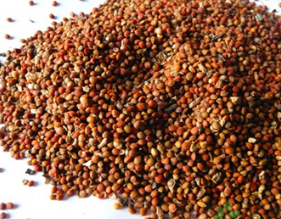 Fructus Broussonetiae Extract