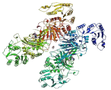 (G6PD)ELISA Kit (G6PD)ELISA Kit