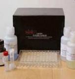 GCK ELISA Kit GCK ELISA Kit