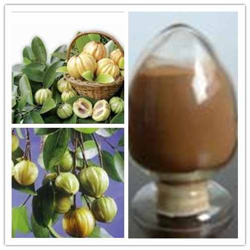 Garcinia cambogia extract Garcinia cambogia extract