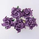 Gardenia purple