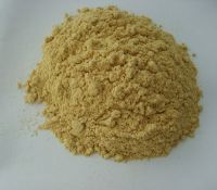 Ginger (Gingembre) Extract