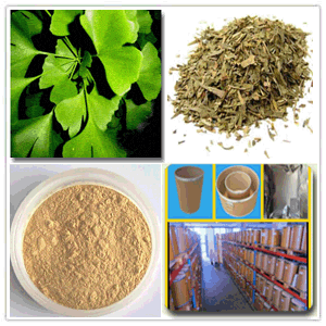 Ginkgo Biloba Extract Ginkgo Biloba Extract