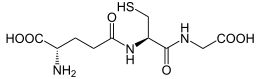 Glutathione Glutathione