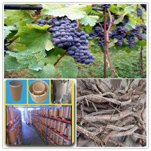 Grape vine extract