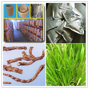 Grassleaf Sweetflag Root Extract Grassleaf Sweetflag Root Extract