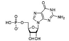 Guanosine monophosphate