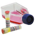 HEK-Blue LPS Detection Kit HEK-Blue LPS Detection Kit
